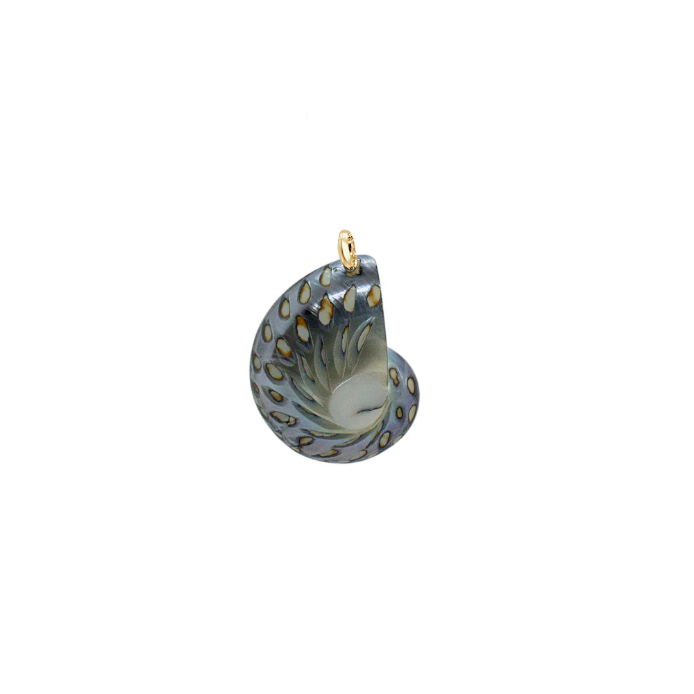 Nautilus Necklace - Limited ED - Image 2